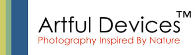 Artful Devices�
