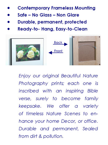 Artful Devices�  866-539-0541 � 2008
